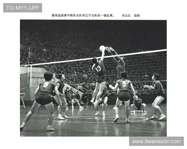 上海排球队选拔赛表现分析与实力评估探讨