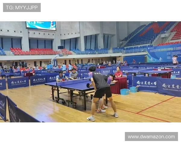 南京乒乓球队技术创新引领潮流最新乒乓球技术十大趋势解析