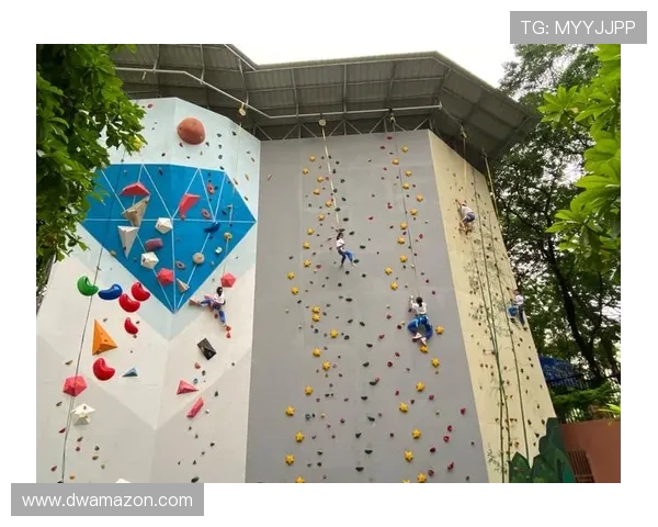 南京攀岩队的边路渗透与攀岩深度的完美结合探索之旅