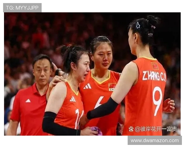 南京排球队比赛经验引发热议球迷对战术与表现的不同看法