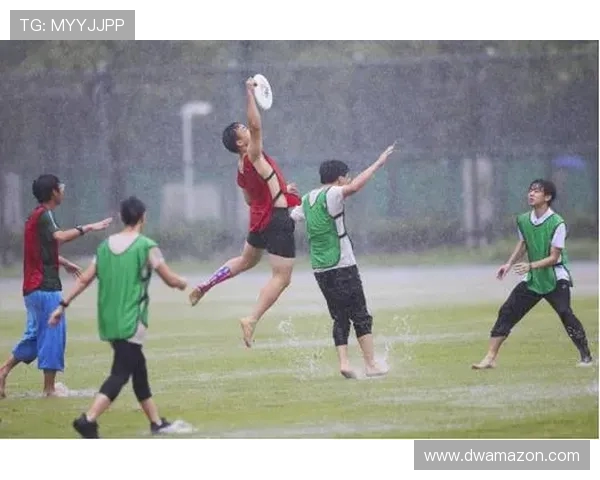 广州飞盘队与北京飞盘队赛后战术分析与总结探讨