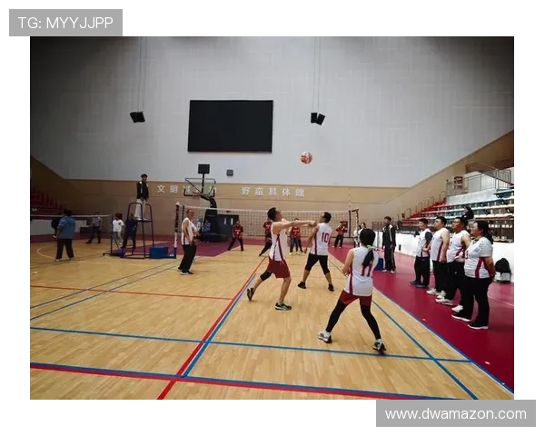 成都排球队逆袭之旅揭秘城市联赛背后的奋斗与荣耀