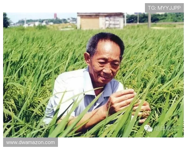 张帆：在新时代浪潮中追寻梦想与奋斗的青春故事