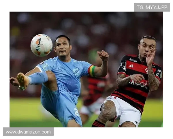 弗拉门戈与圣保罗激战正酣比分揭晓引发热议 弗拉门戈与圣保罗激战正酣比分揭晓引发热议