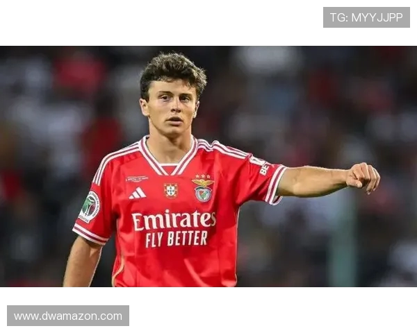 若昂内维斯的足球之路:从青训到国际舞台的辉煌历程