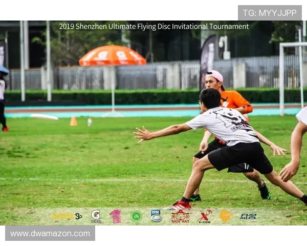 飞盘战术揭秘:深圳飞盘队的进攻策略与团队协作分析