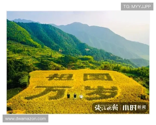 广州攀岩队勇攀高峰马拉松大满贯背后的奋斗与突破故事