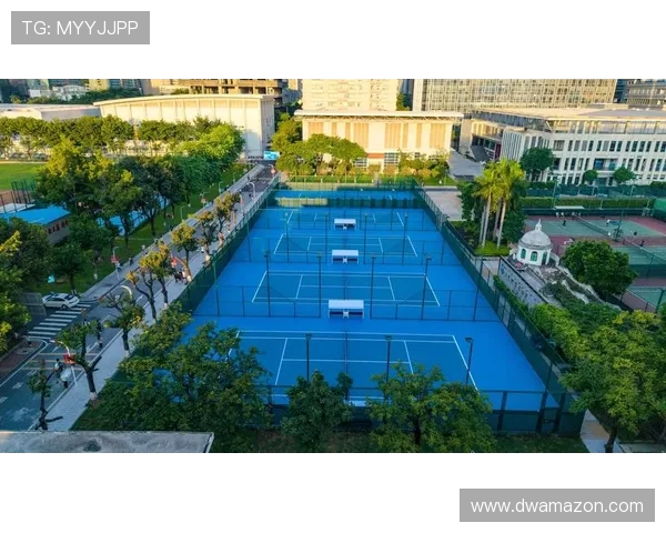 广州网球队的默契配合揭秘网球巨献背后的团队精神与战术分析