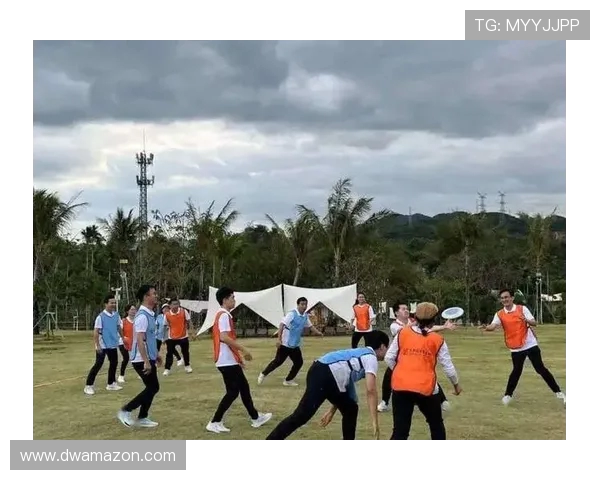 武汉飞盘队如何通过团队协作实现飞盘运动的变革与发展