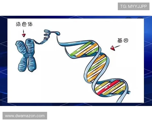 南京羽毛球队技术解析:从基础训练到比赛策略的全面探讨