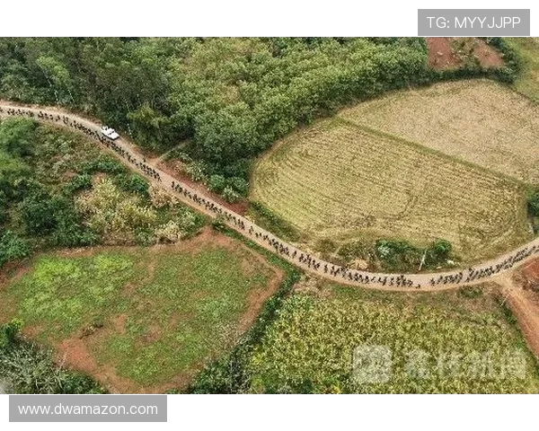 广州极限运动队的战术控制体系与极限运动的创新发展探讨