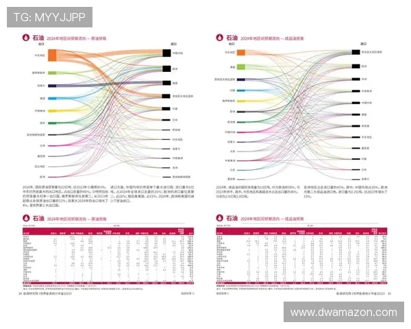 数据分析揭示LNG在全球能源转型中的重要作用与未来发展潜力