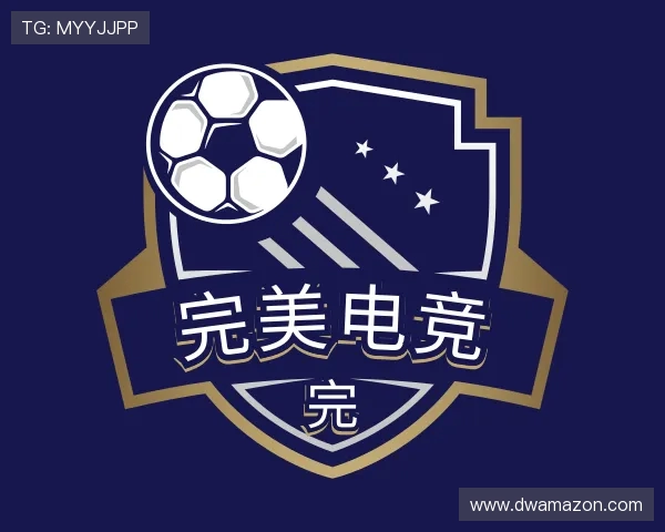 认识完美电竞